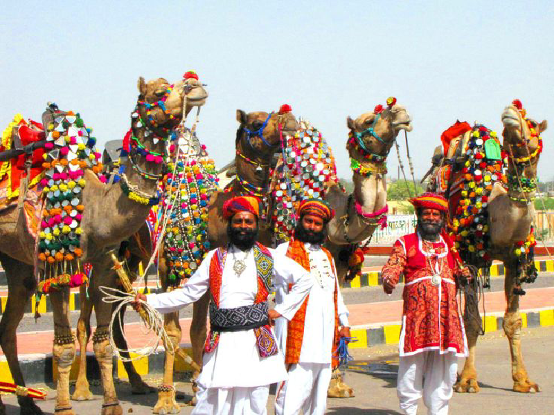Camel Fair Ground