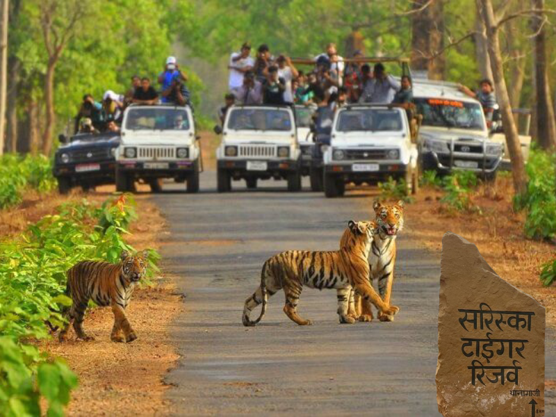 Sariska Tiger Reserve